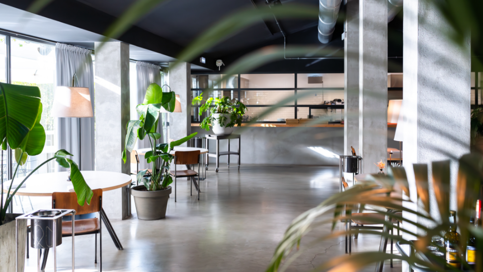 Trattoria contemporanea foto